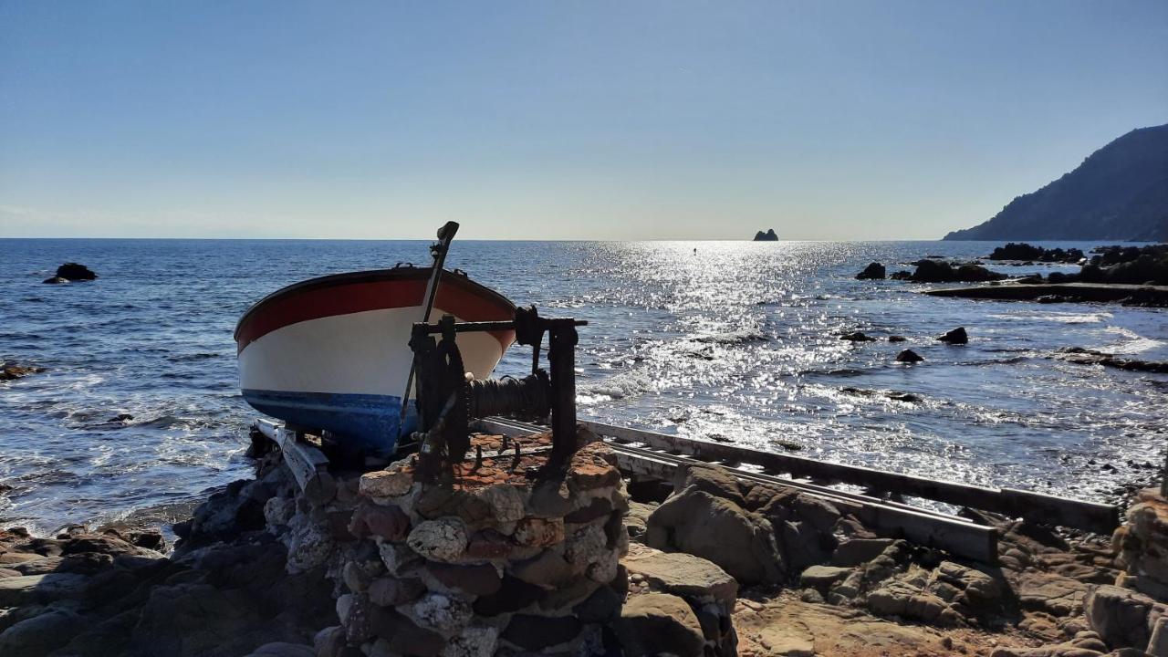 Les Bois Flottes . Plage De La Verne La Seyne-sur-Mer Buitenkant foto